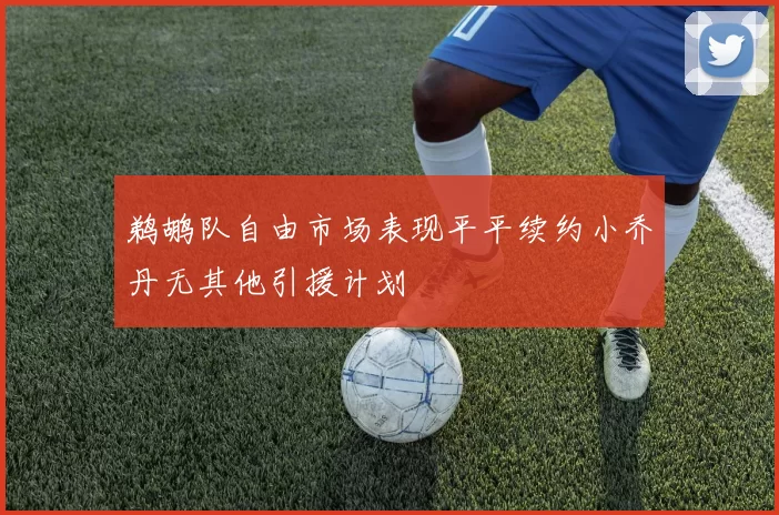 鹈鹕队自由市场表现平平续约小乔丹无其他引援计划
